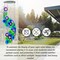 Wind Chimes Capiz Sea Glass Shells Large 27 Inch outside Windchimes Peacock Home Decor Outdoor Garden Patio Yard Lawn Unique Gifts for Mom Grandma Woman Sympathy Memorial Remembrance